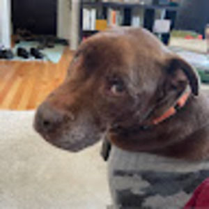 Meet your Posher, Brandon